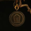 The "Golden Center": Solar Mandala Necklace | Clarity & Willpower (Round) - Image 5