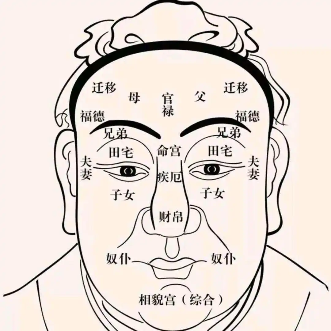 The Solar Crucible: Mastering Face Reading and the Career Palace in the Era of the Fire Horse - Tanfog