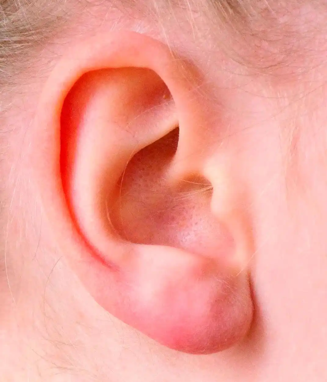 Feng Shui Face Reading: What Your Ears Reveal About Your Fortune, Intellect, and Health - Tanfog